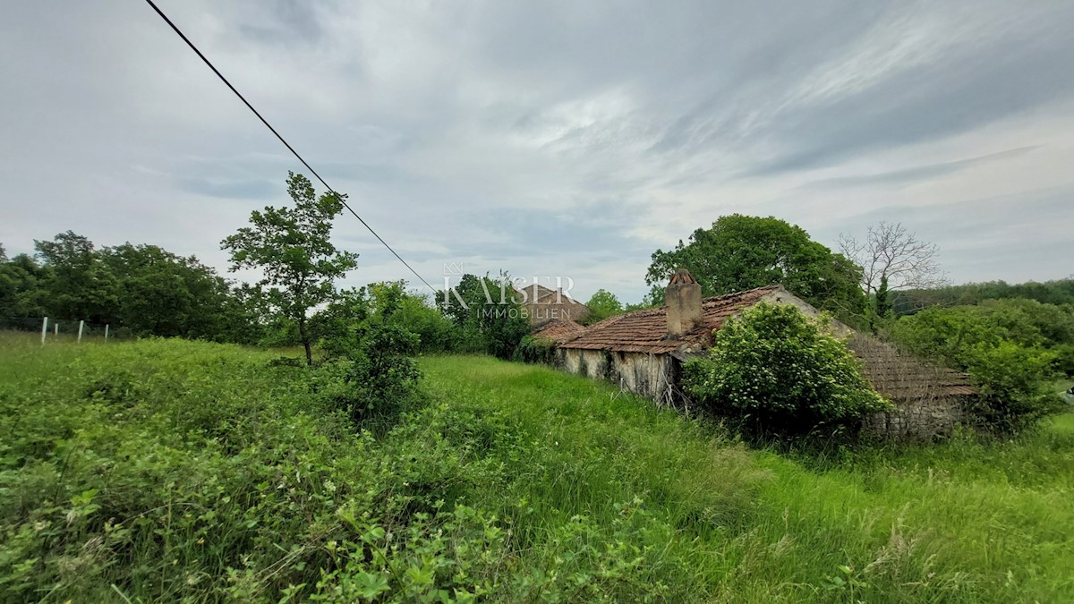 Tenute Vižinada, 90.000m2