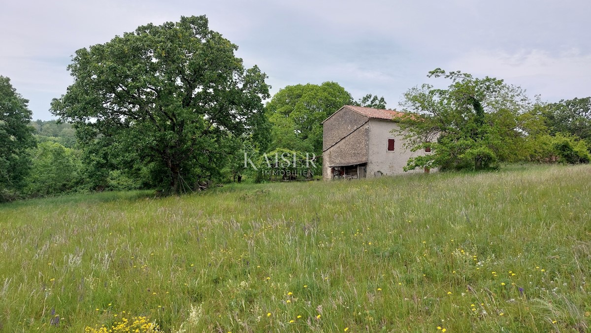 Tenute Vižinada, 90.000m2