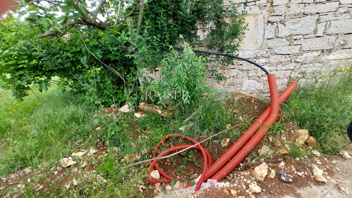 Tenute Vižinada, 90.000m2