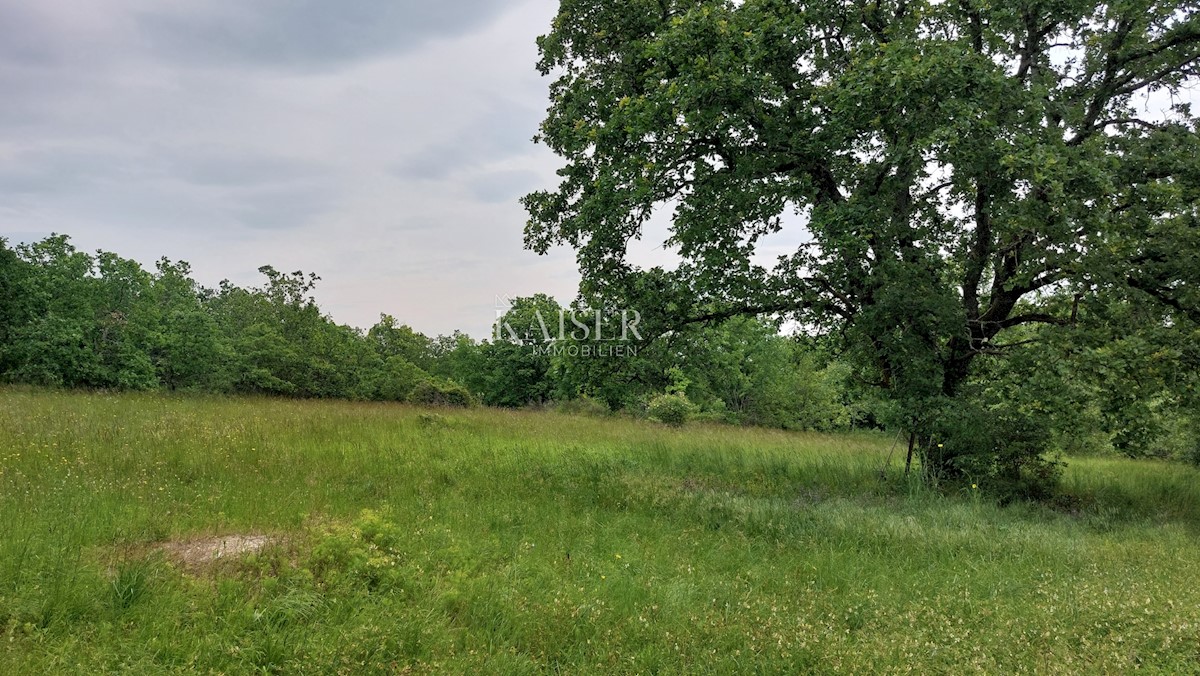 Tenute Vižinada, 90.000m2