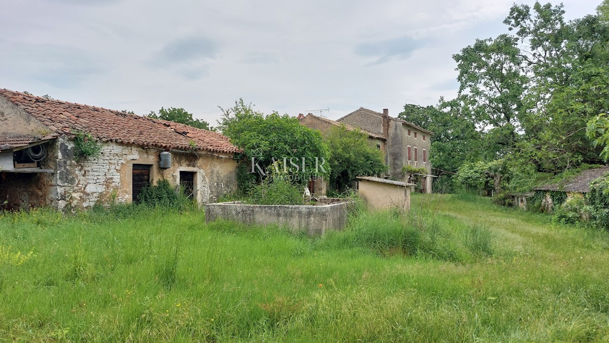 Tenute Vižinada, 90.000m2