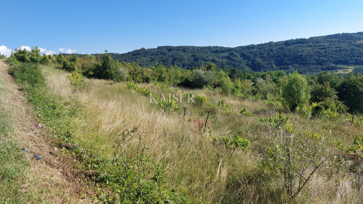 Istria, Montona - terreno con splendida vista panoramica