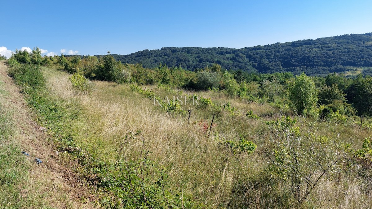 Istria, Montona - terreno con splendida vista panoramica