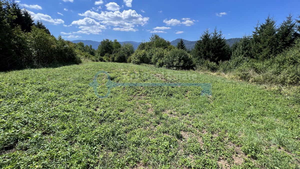 AZIONE! PREZZO RIDOTTO! VRBOVSKO - GRANDE TERRENO EDIFICABILE