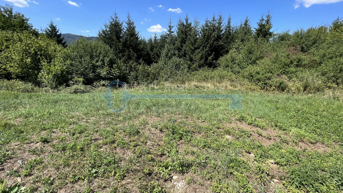 AZIONE! PREZZO RIDOTTO! VRBOVSKO - GRANDE TERRENO EDIFICABILE