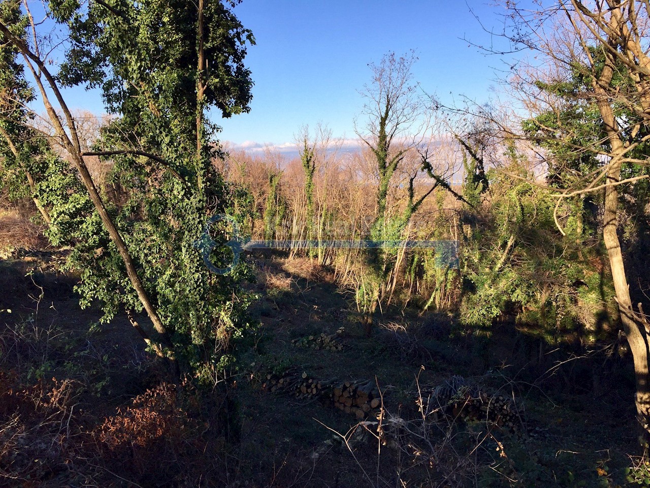 ISOLA DI VEGLIA - DOBRINJ - 1636 M2 TERRENO EDIFICABILE I 3597 M2 TERRENO AGRICOLO