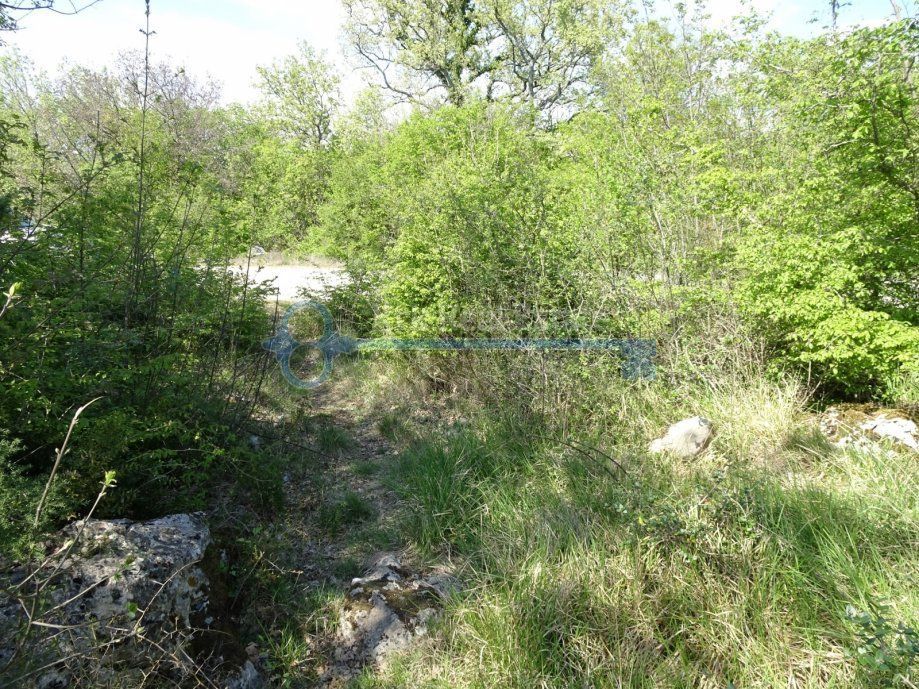  SKRBČIĆI – GRANDE TERRENO AGRICOLO