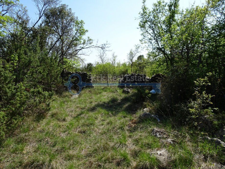  SKRBČIĆI – GRANDE TERRENO AGRICOLO