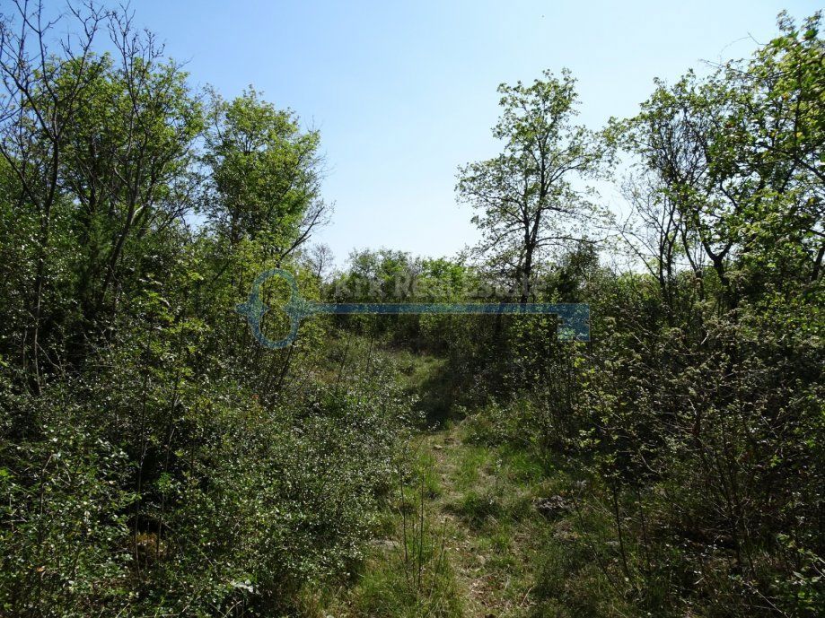  SKRBČIĆI – GRANDE TERRENO AGRICOLO