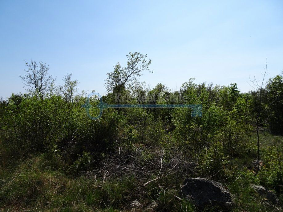  SKRBČIĆI – GRANDE TERRENO AGRICOLO
