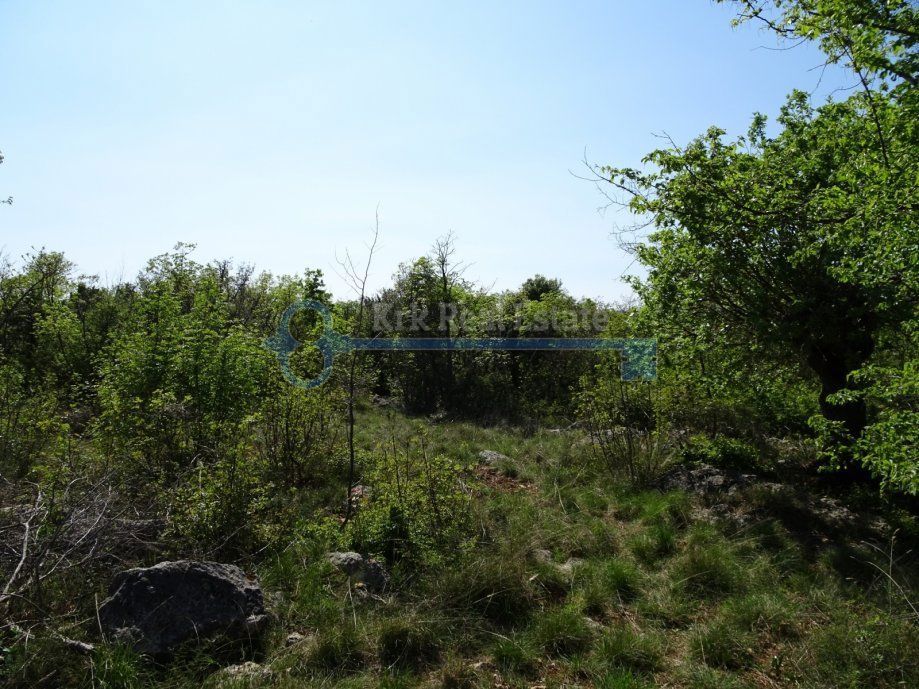  SKRBČIĆI – GRANDE TERRENO AGRICOLO