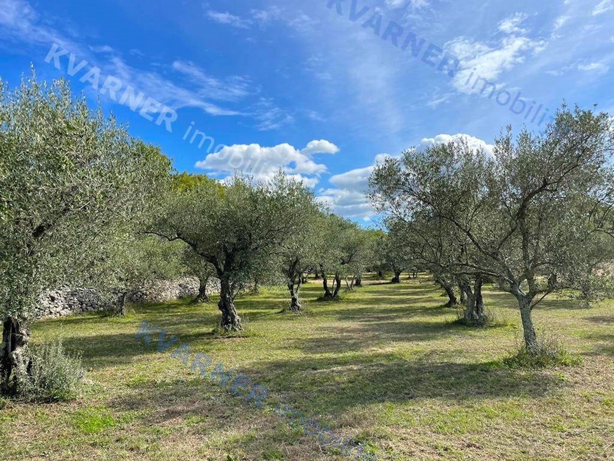 Terreno Vrbnik, 12.000m2