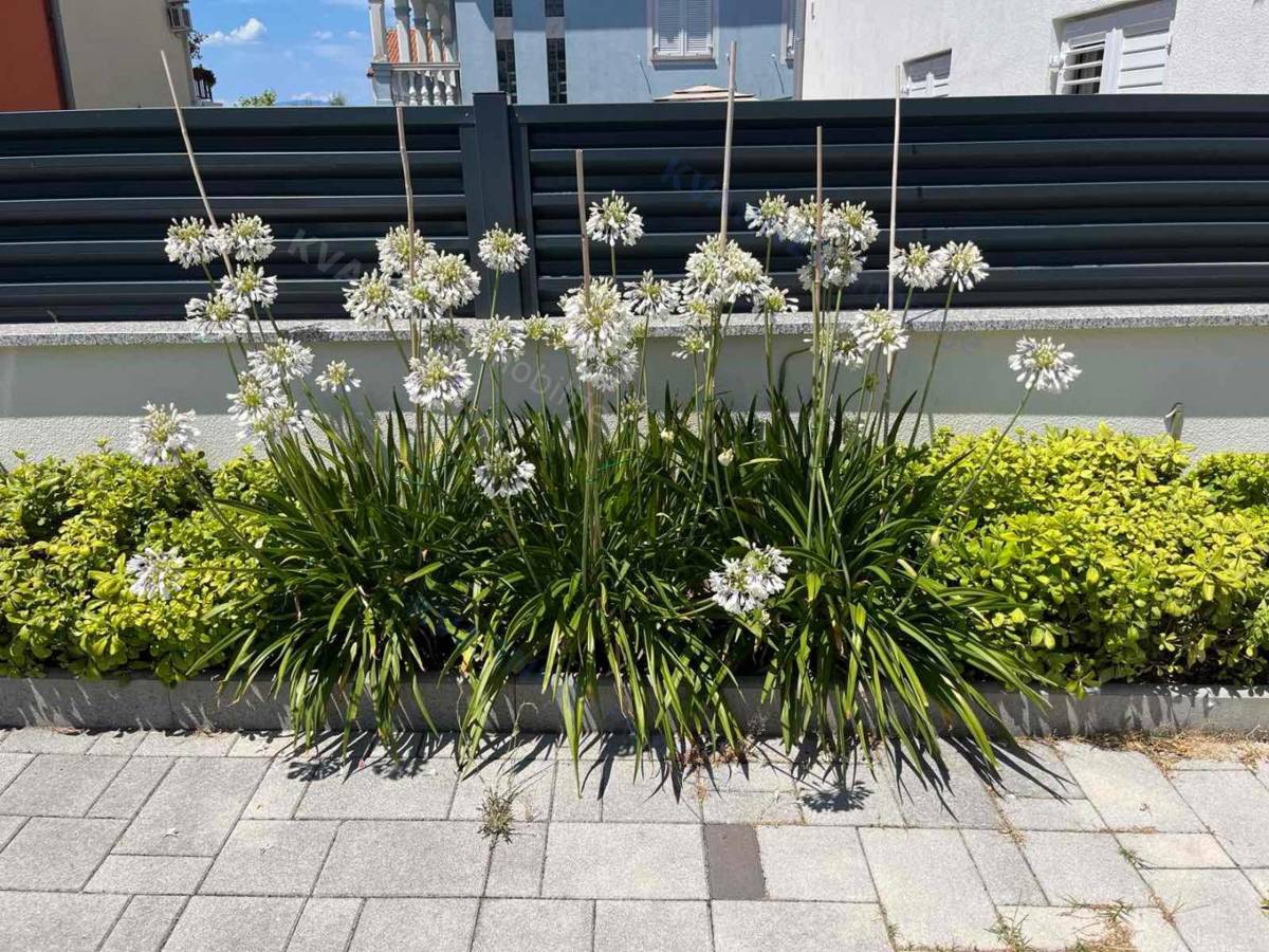 Appartamento Malinska, 60,22m2