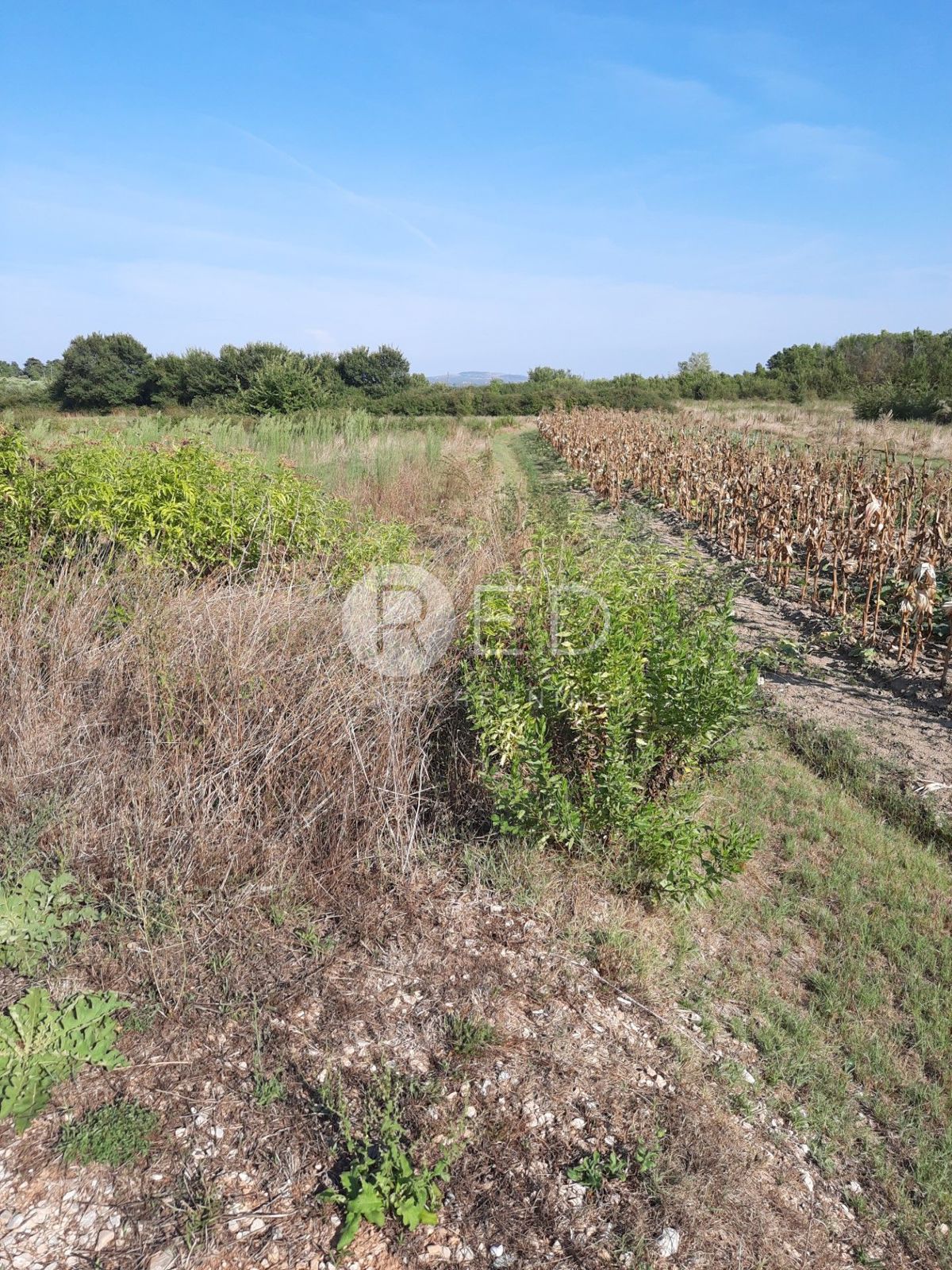 Terreno Zemunik Donji, 750m2