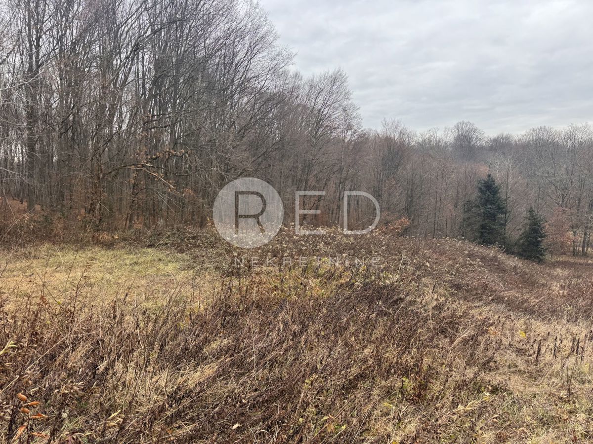 Terreno Bratina, Pisarovina, Bratina, Pisarovina, Zagrebačka županija, 2.322m2