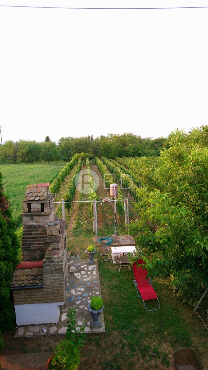 Casa Dalj, Erdut, PRELIJEPO IMANJE NA MIRNOJ LOKACIJI - DALJ PLANINA, 265m2