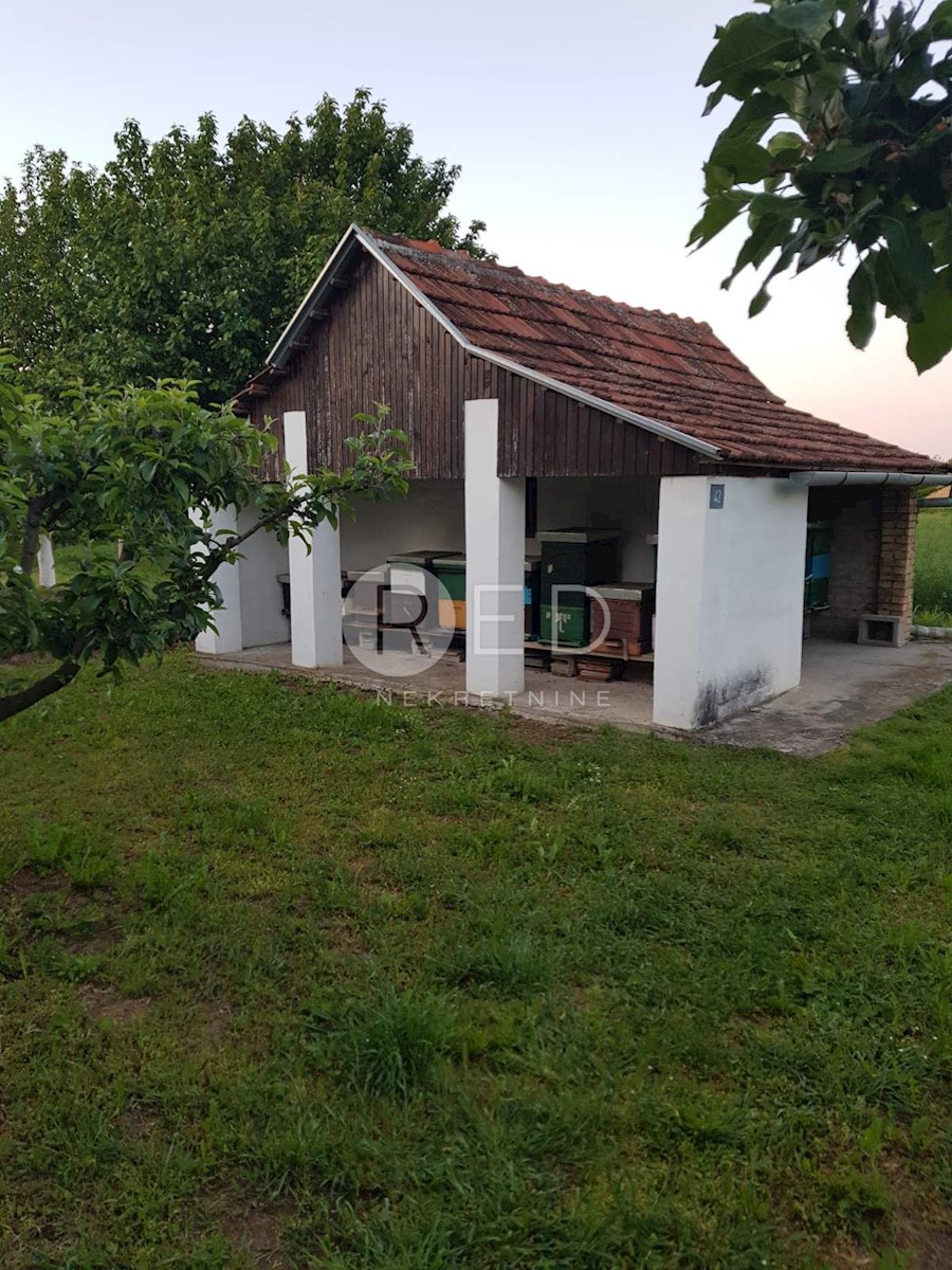 Casa Dalj, Erdut, PRELIJEPO IMANJE NA MIRNOJ LOKACIJI - DALJ PLANINA, 265m2