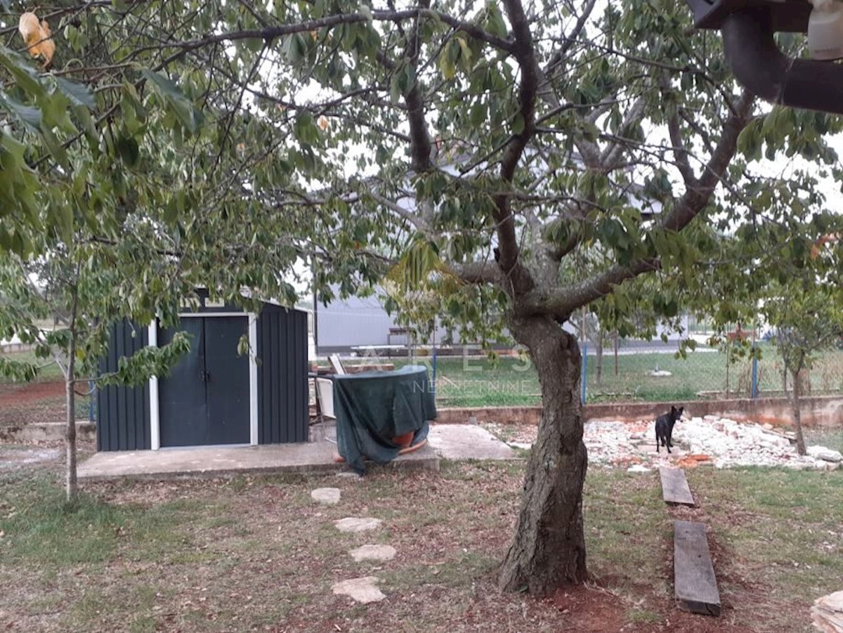 Casa Bužinija, Novigrad, 110m2