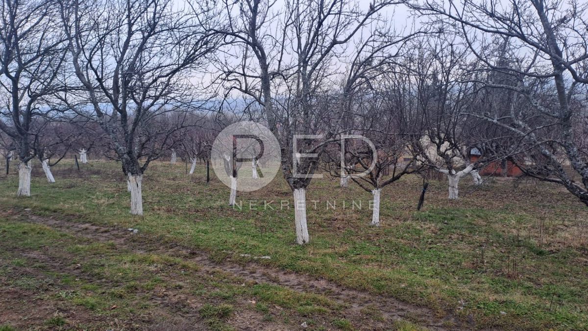 Casa Radovanci, Velika, 80m2