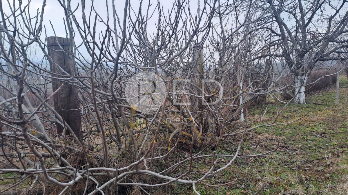 Casa Radovanci, Velika, 80m2