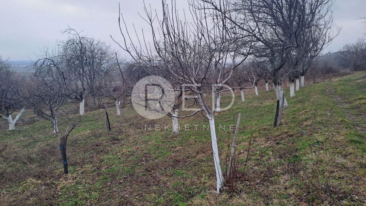 Casa Radovanci, Velika, 80m2