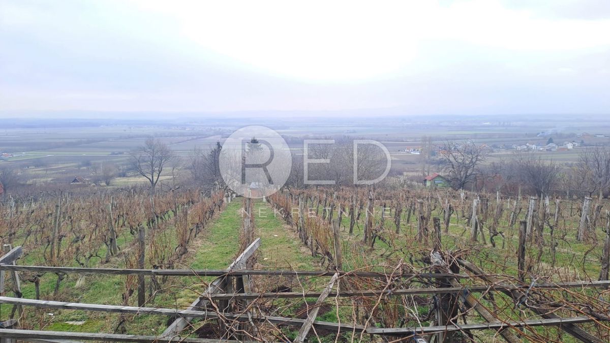 Casa Radovanci, Velika, 80m2