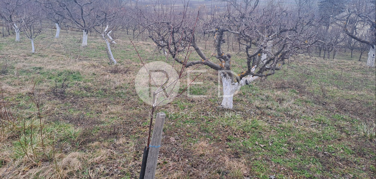 Casa Radovanci, Velika, 80m2