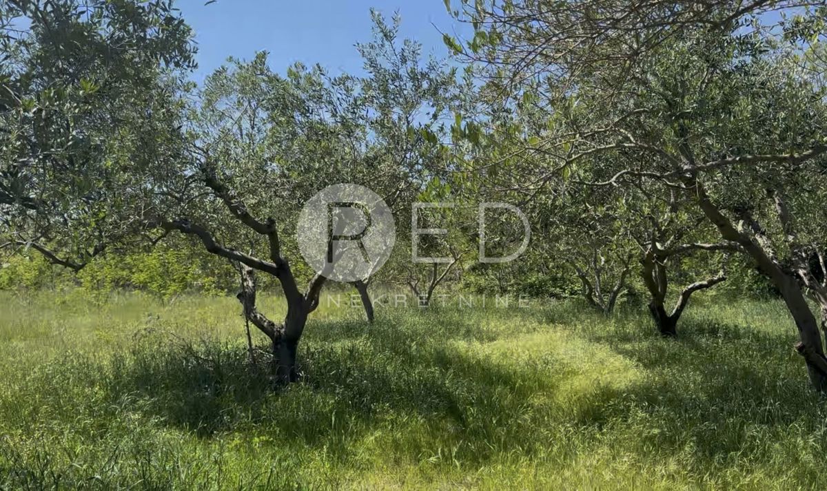 Terreno Privlaka, Alojzija Stepinca , 956m2