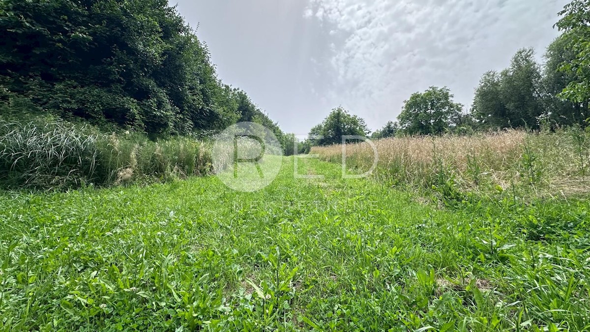 Terreno Gornji Jarek, Podsused - Vrapče, Jarek Gornji , 2.221m2