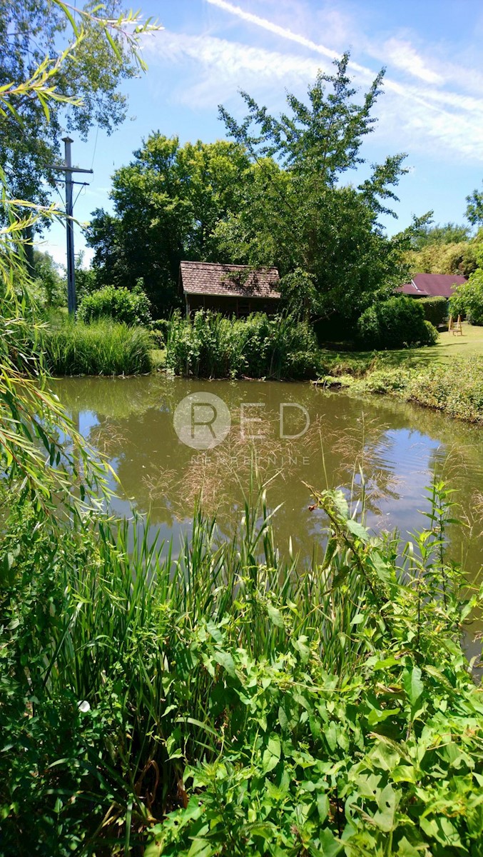 Casa Suza, Kneževi Vinogradi, Kuća i bajkovito imanje u srcu Baranje, 214m2