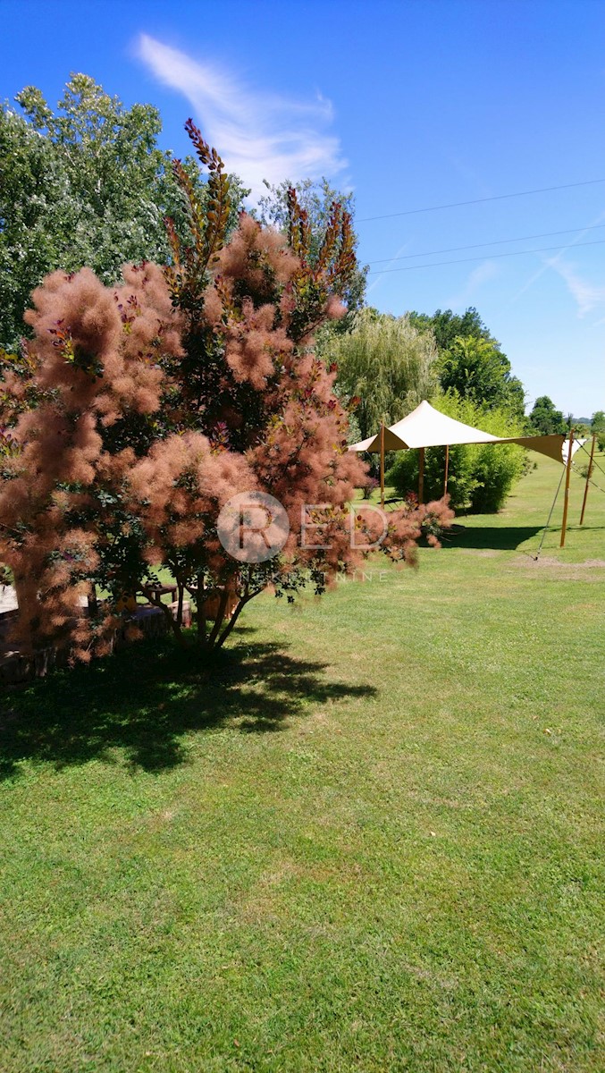 Casa Suza, Kneževi Vinogradi, Kuća i bajkovito imanje u srcu Baranje, 214m2