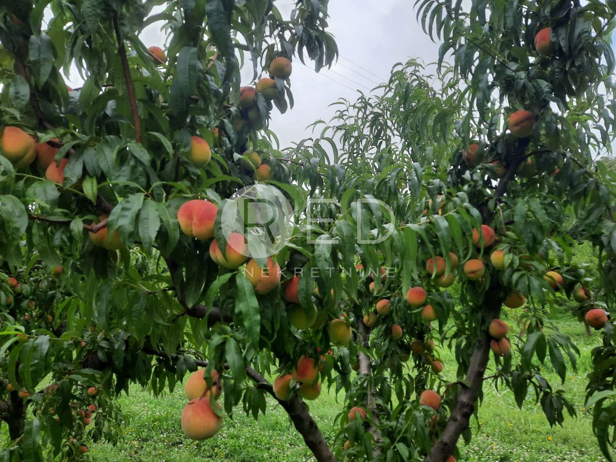 Casa Zmajevac, Kneževi Vinogradi, Imanje u blizini Zmajevca - Baranja, 44m2