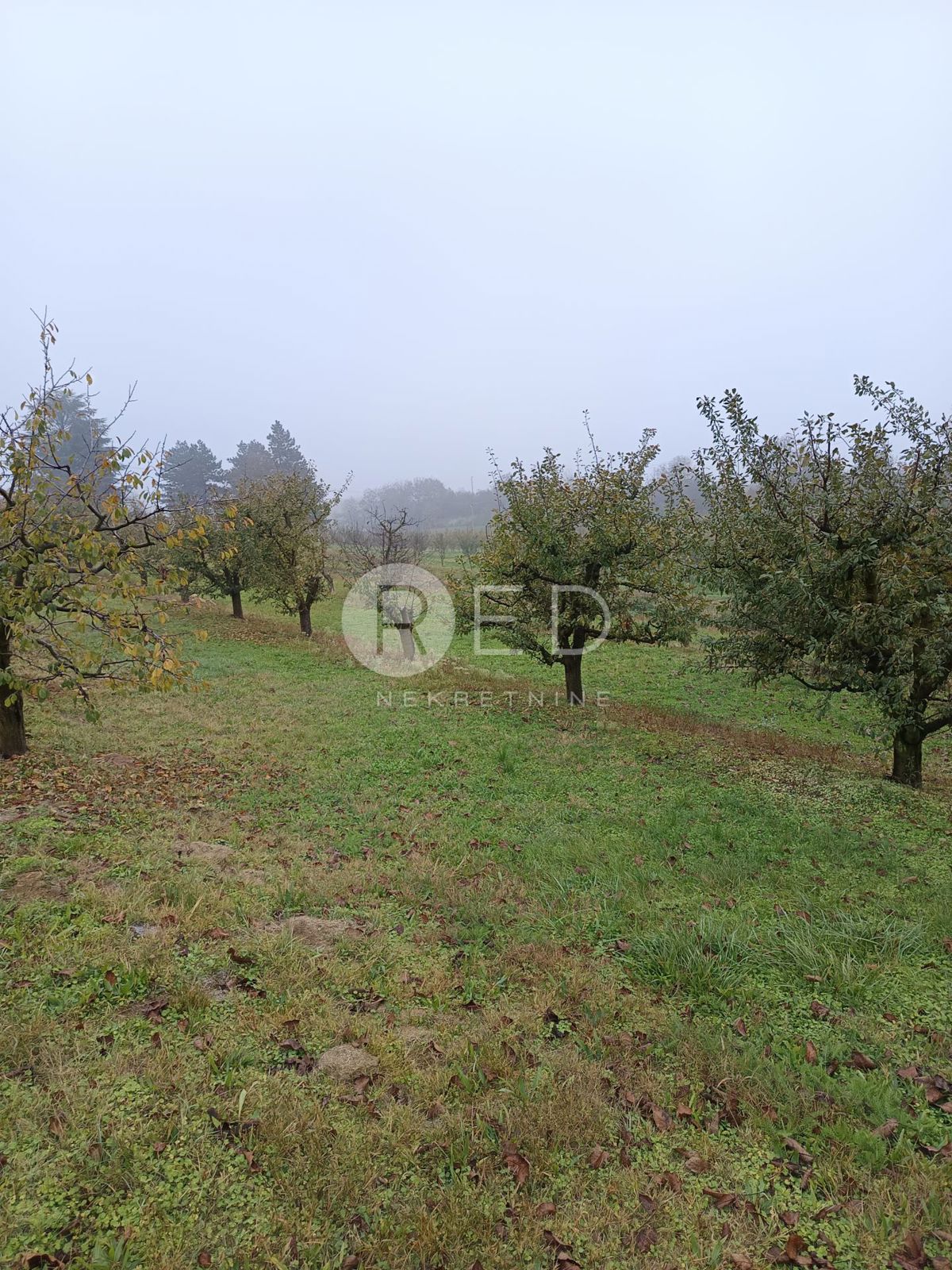 Casa Zmajevac, Kneževi Vinogradi, Imanje u blizini Zmajevca - Baranja, 44m2