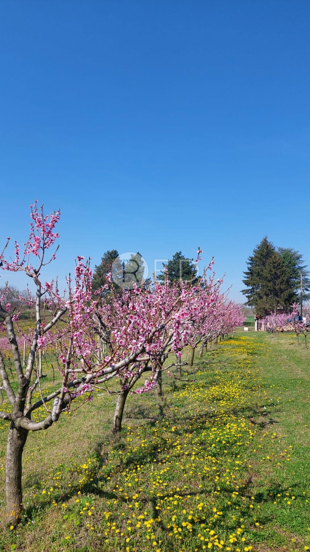 Casa Zmajevac, Kneževi Vinogradi, Imanje u blizini Zmajevca - Baranja, 44m2