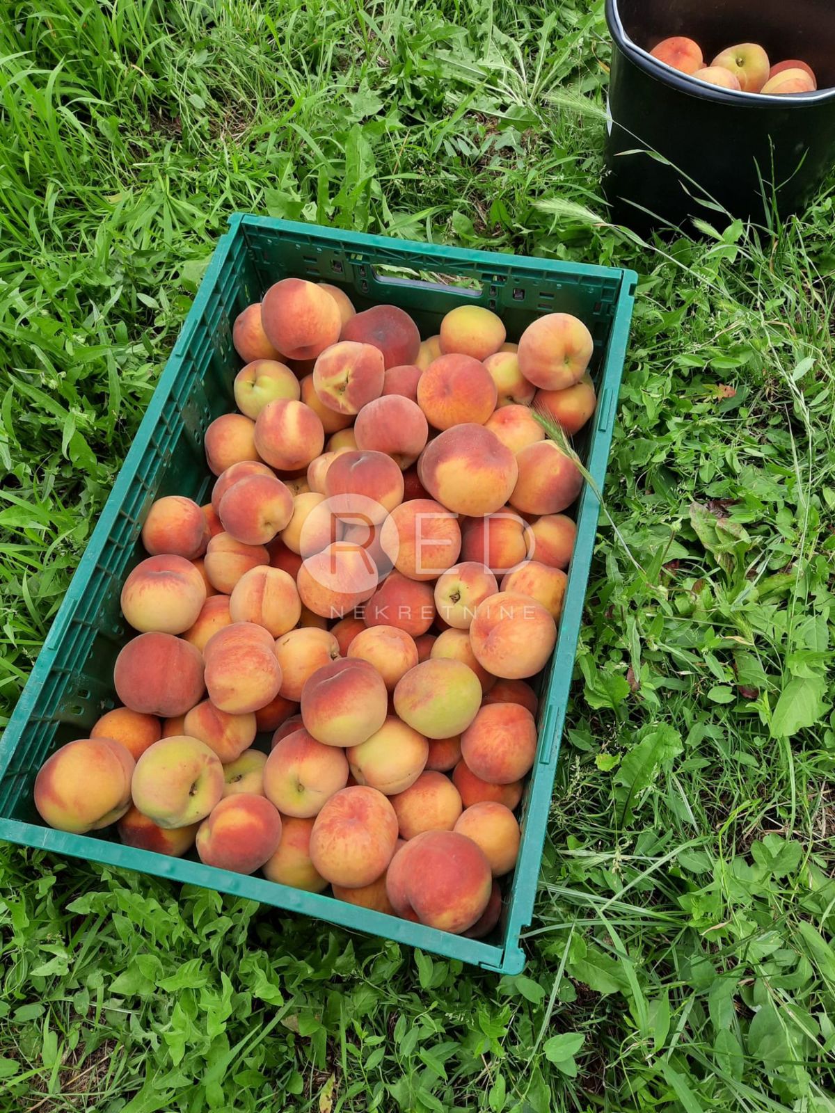 Casa Zmajevac, Kneževi Vinogradi, Imanje u blizini Zmajevca - Baranja, 44m2