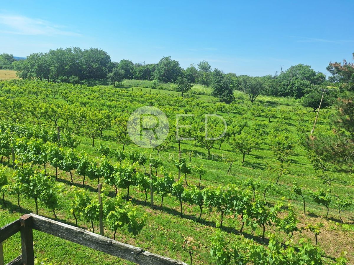 Casa Zmajevac, Kneževi Vinogradi, Imanje u blizini Zmajevca - Baranja, 44m2