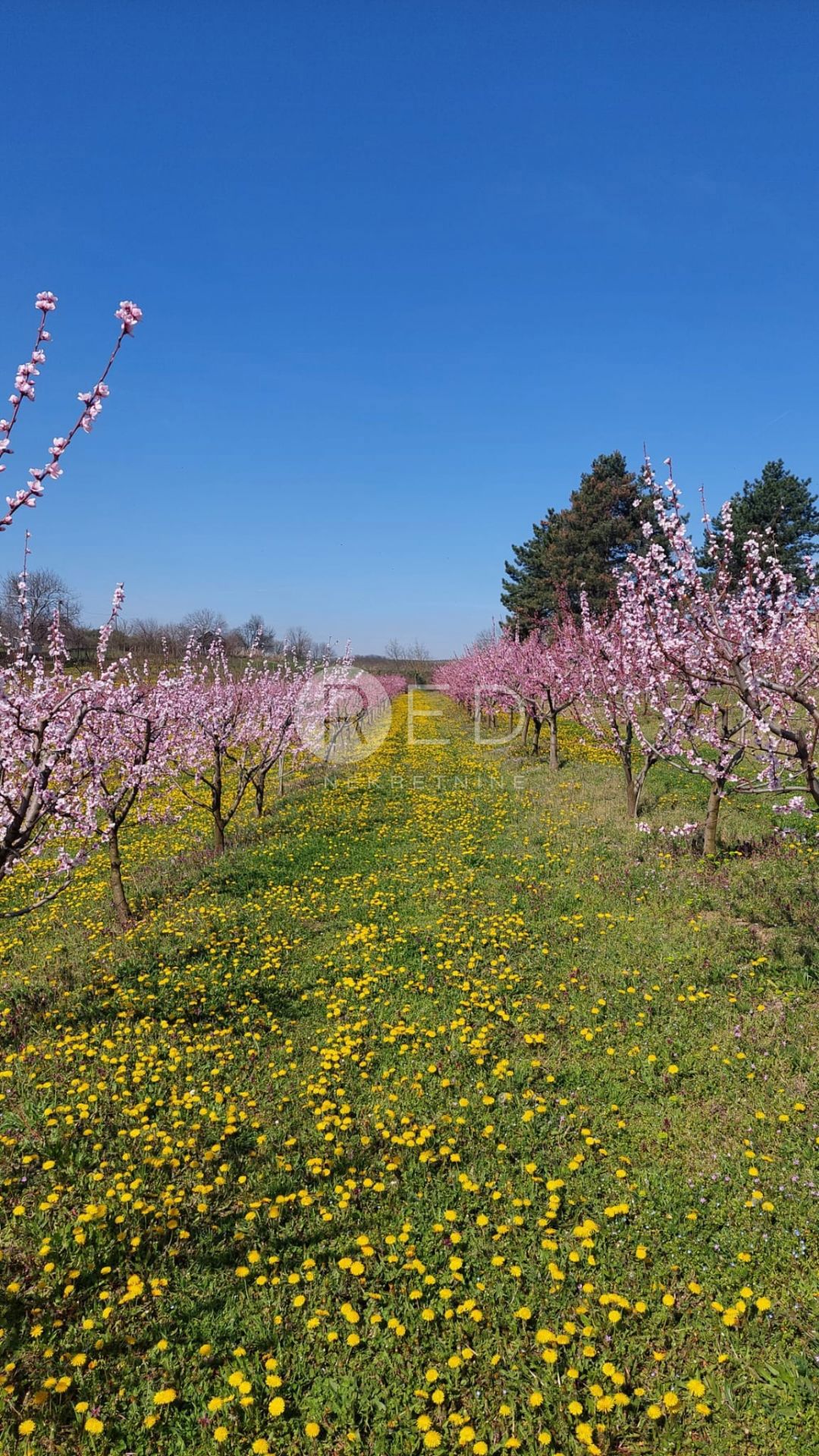 Casa Zmajevac, Kneževi Vinogradi, Imanje u blizini Zmajevca - Baranja, 44m2