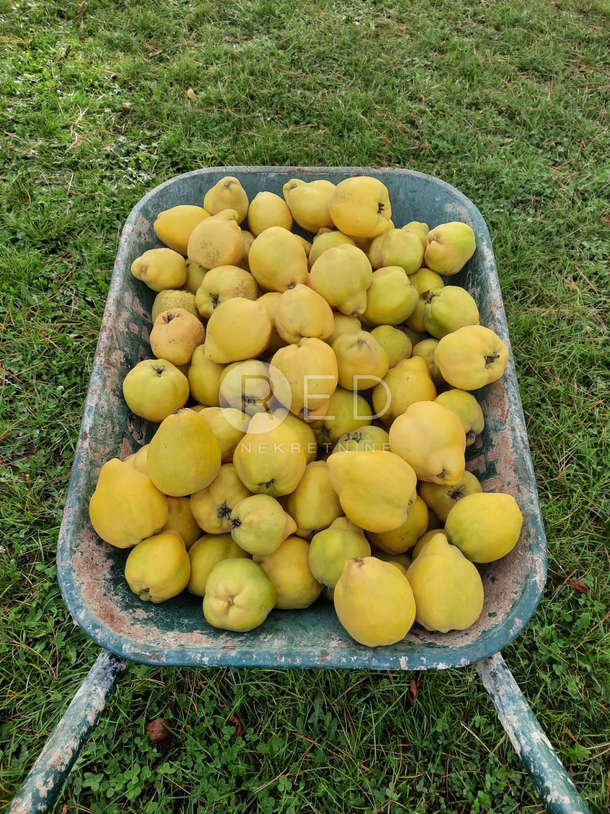 Casa Zmajevac, Kneževi Vinogradi, Imanje u blizini Zmajevca - Baranja, 44m2