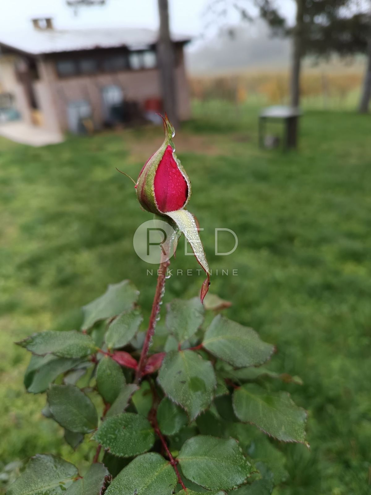 Casa Zmajevac, Kneževi Vinogradi, Imanje u blizini Zmajevca - Baranja, 44m2