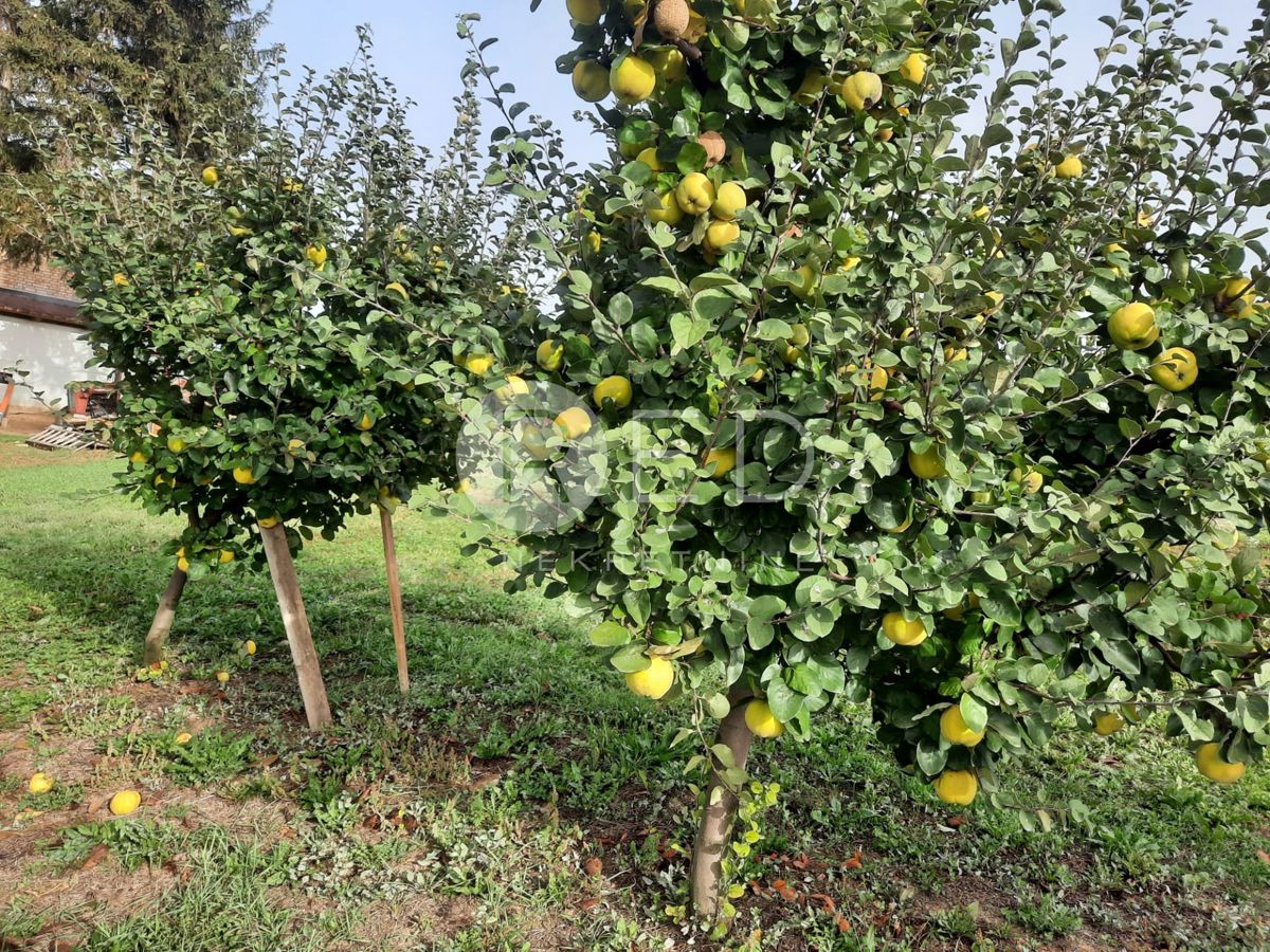 Casa Zmajevac, Kneževi Vinogradi, Imanje u blizini Zmajevca - Baranja, 44m2