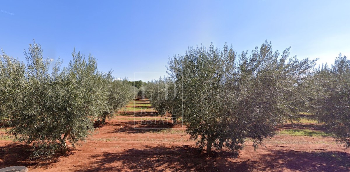 Terreno edificabile con Concessione Edilizia