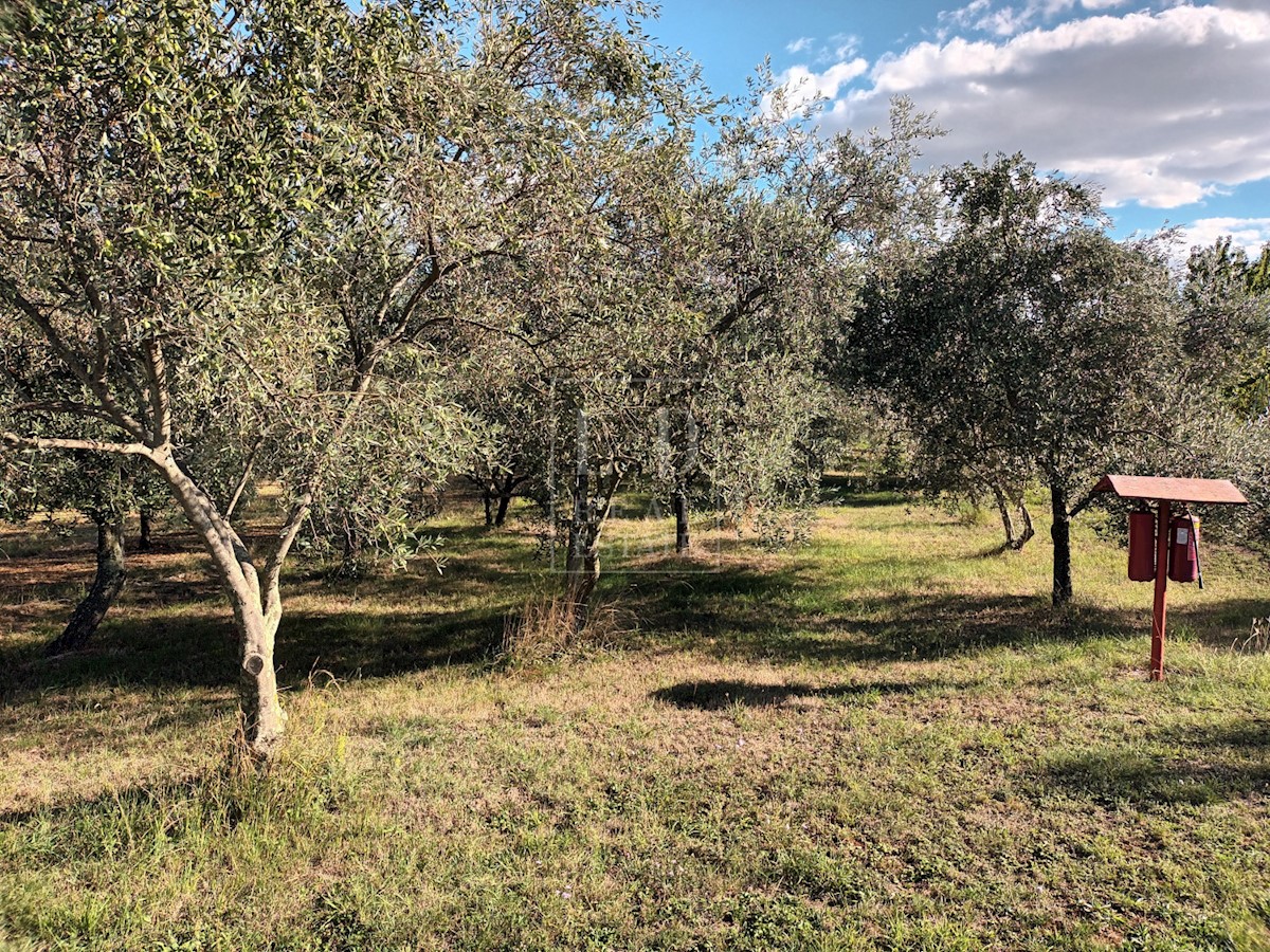 Terreno edificabile a Verteneglio