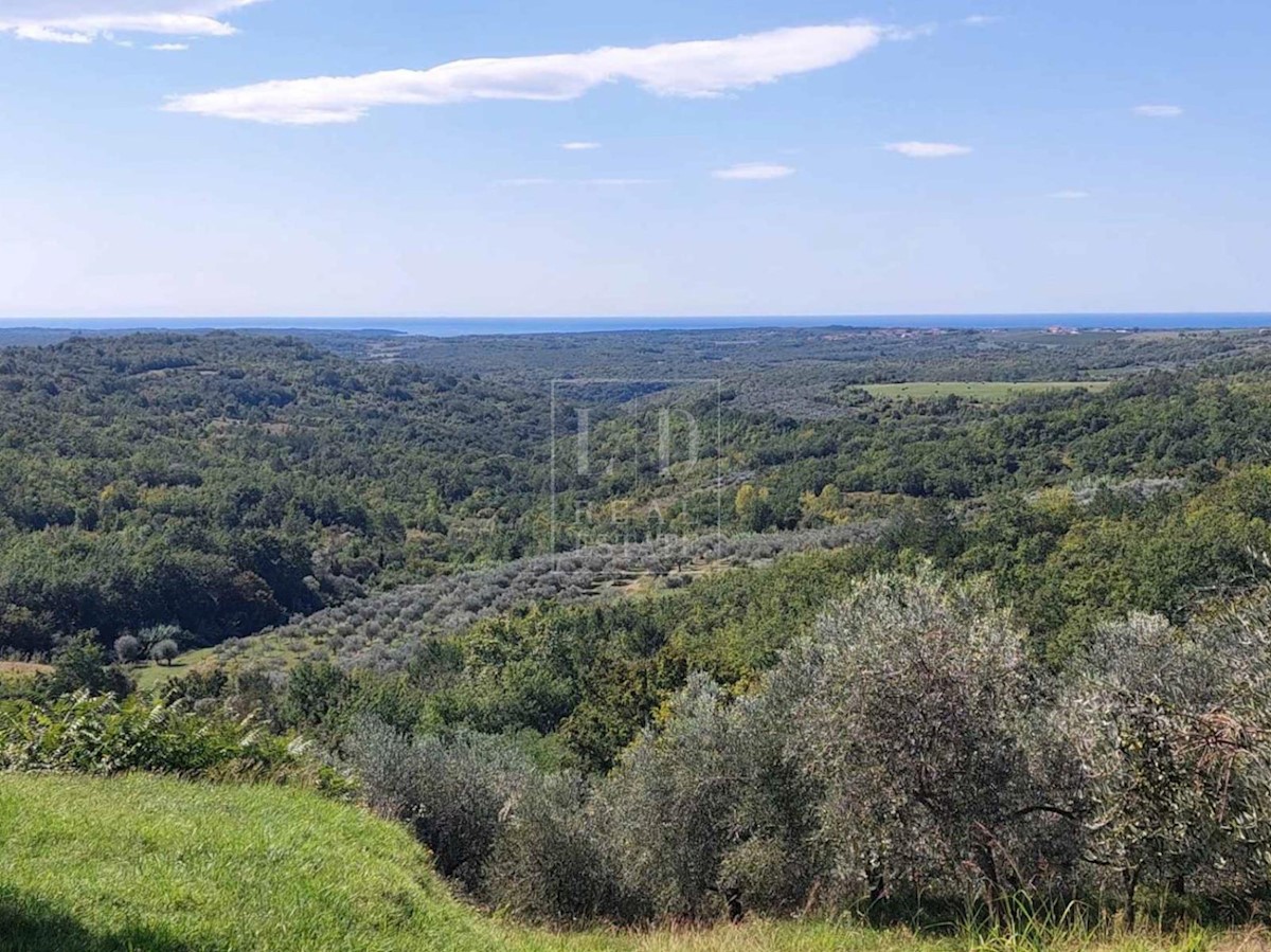 Terreno edificabile con Concessione Edilizia