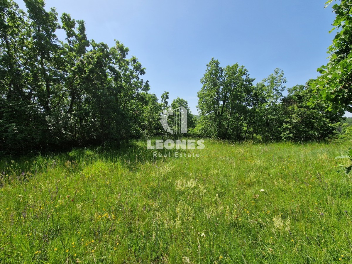 Terreno edificabile immerso nella natura nelle vicinanze di Grožnjan - Grisignana