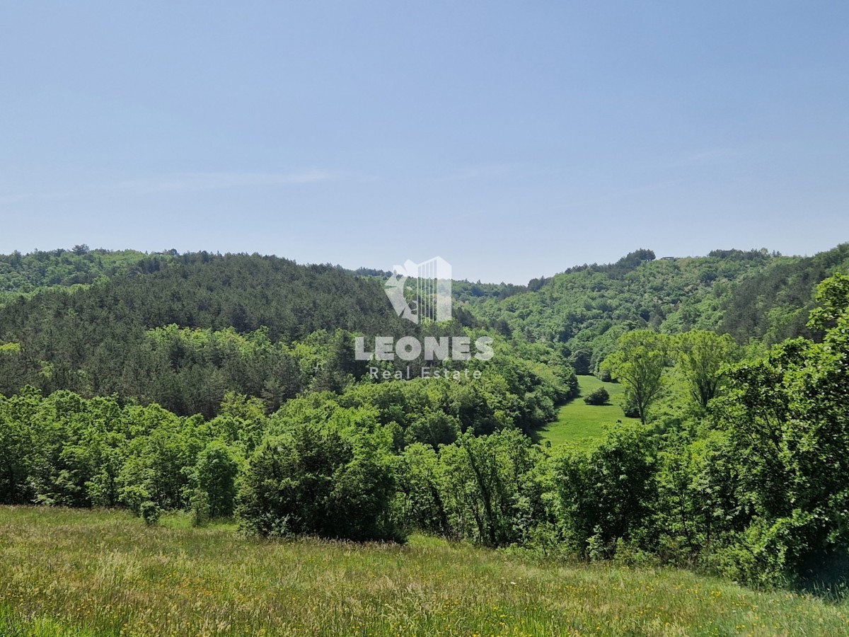 Terreno edificabile immerso nella natura nelle vicinanze di Grožnjan - Grisignana