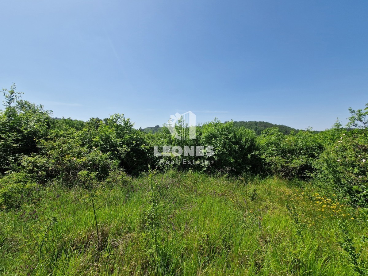 Terreno edificabile immerso nella natura nelle vicinanze di Grožnjan - Grisignana