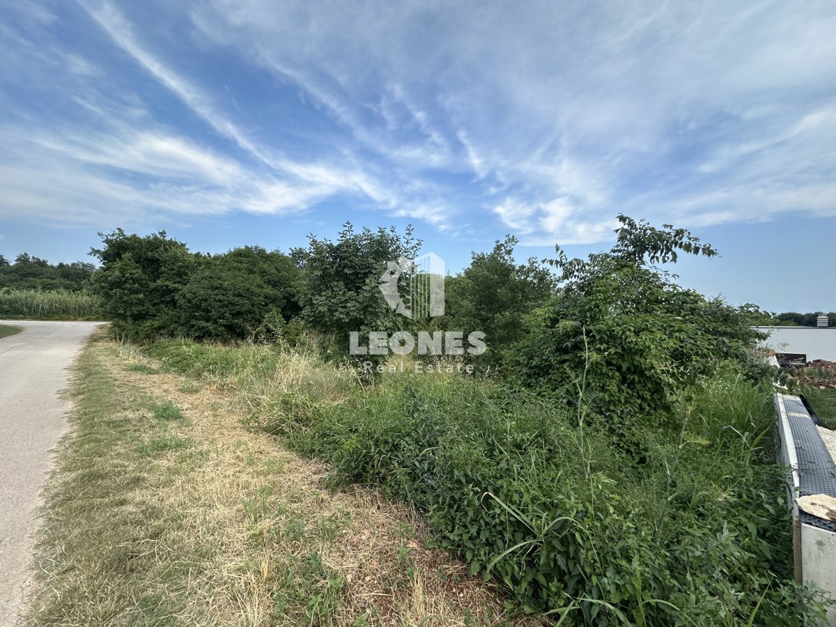 Terreno edificabile a Cittanova in ottima posizione