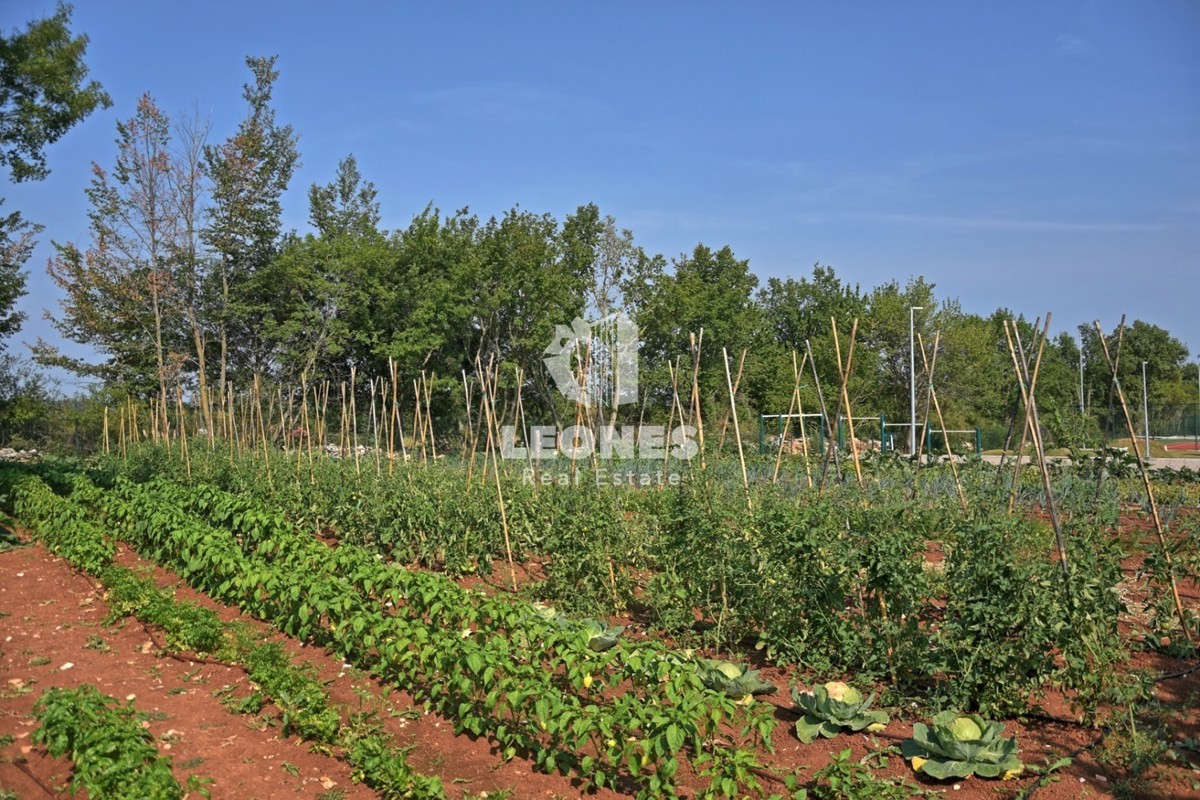 Lussuosa villa in pietra nel cuore dell'Istria - Kanfanar