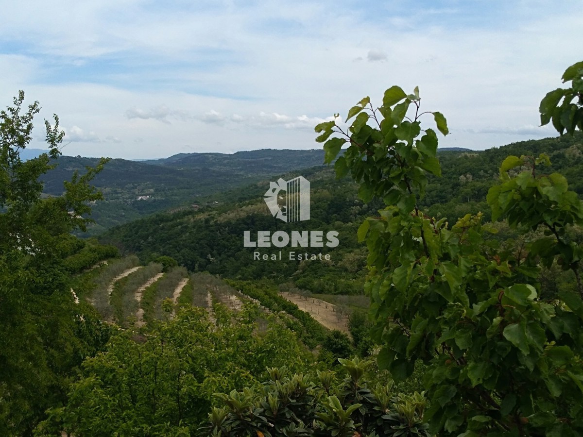Terreno edificabile con progetto concettuale e vista su Motovun a Visinada