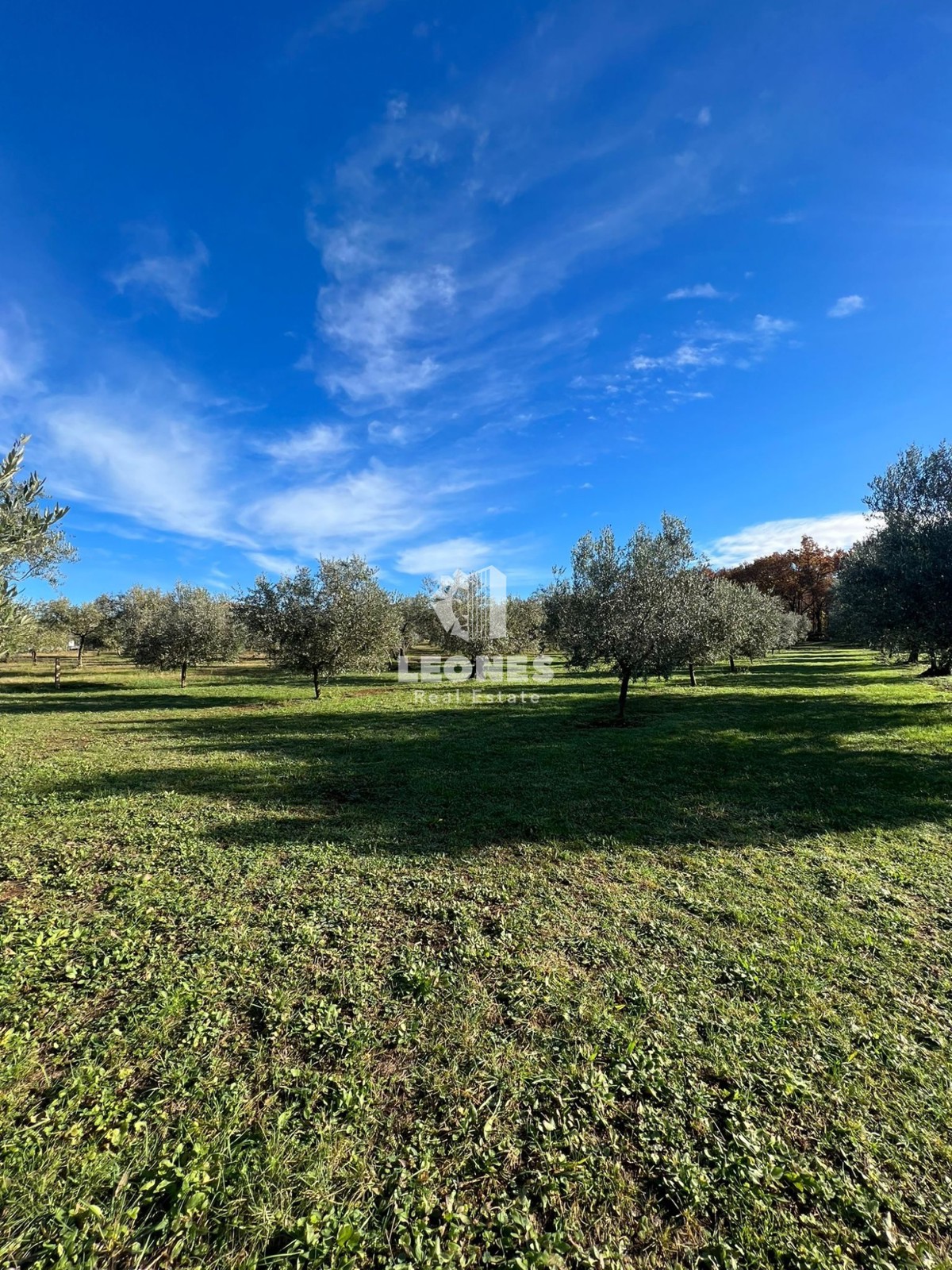 Terreno edificabile vicino a Buie